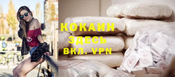 шишки Лагань