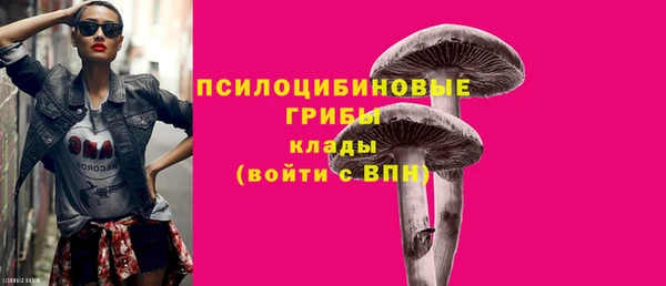 не бодяженный Кукмор