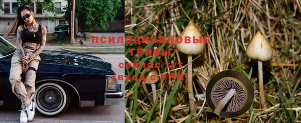 мескалин Лабытнанги