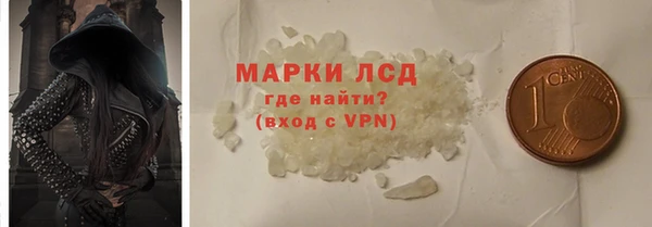 ПСИЛОЦИБИНОВЫЕ ГРИБЫ Кулебаки