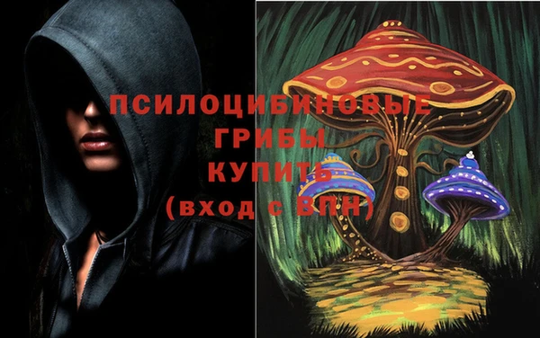 ПСИЛОЦИБИНОВЫЕ ГРИБЫ Кулебаки
