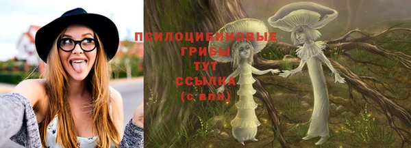 не бодяженный Кукмор