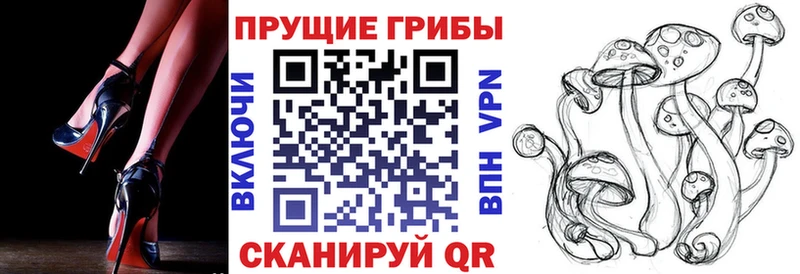 где купить наркотик  Среднеколымск  Галлюциногенные грибы Psilocybe 